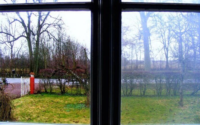 DIY Outdoor Windows Cleaning