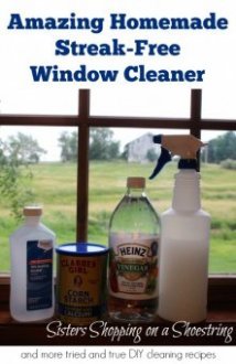 diywindowcleaner