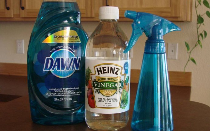 How to Make Windows Cleaner with Vinegar?