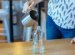 Home Made Windows Cleaning Solutions